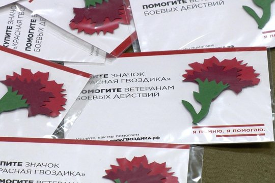 Цветок поддержки: присоединитесь к благотворительной акции «Красная гвоздика», чтобы помочь ветеранам России