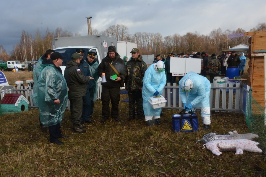 Ветеринарная служба республики приняла участие в республиканском командно-штабном учении отработав ликвидацию очага АЧС