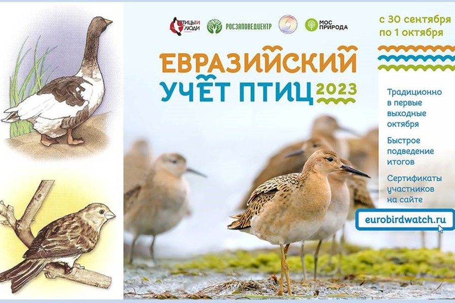 Чувашский национальный музей приглашает последние теплые выходные осени посвятить перелетным птицам