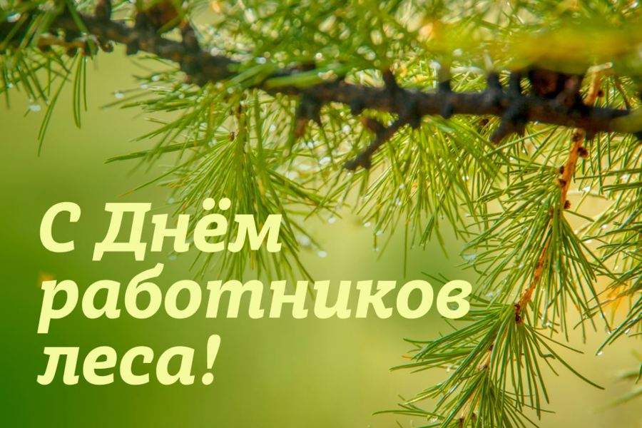 Глава Порецкого муниципального округа Евгений Лебедев поздравляет с Днем работников леса