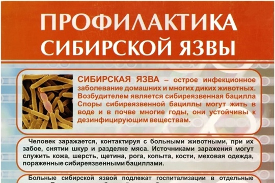 Профилактика сибирской язвы