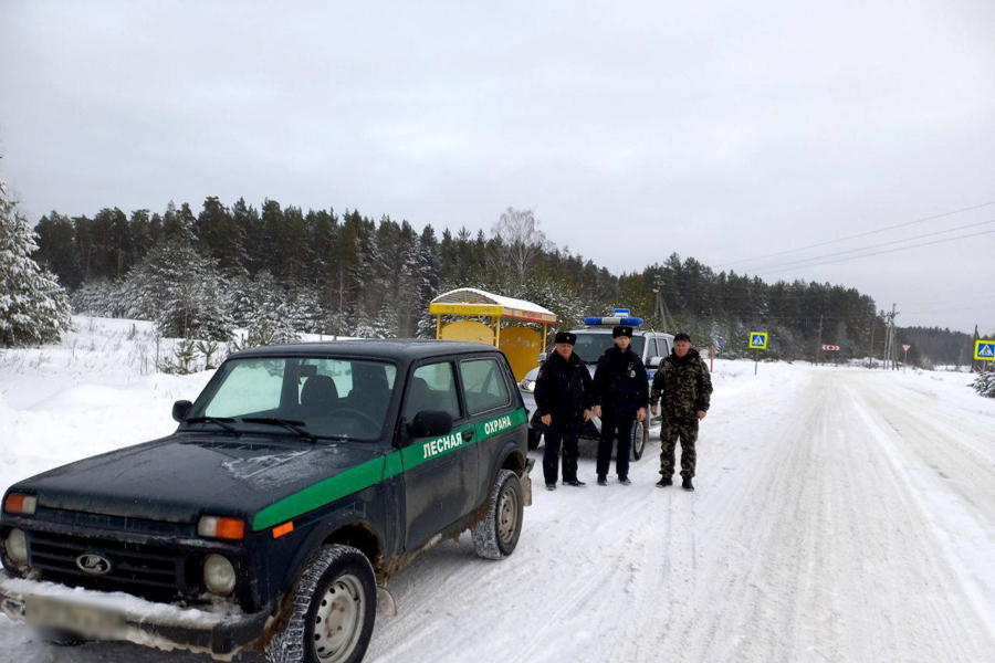 Подведены итоги акции «Вместе спасем новогодние ели!»