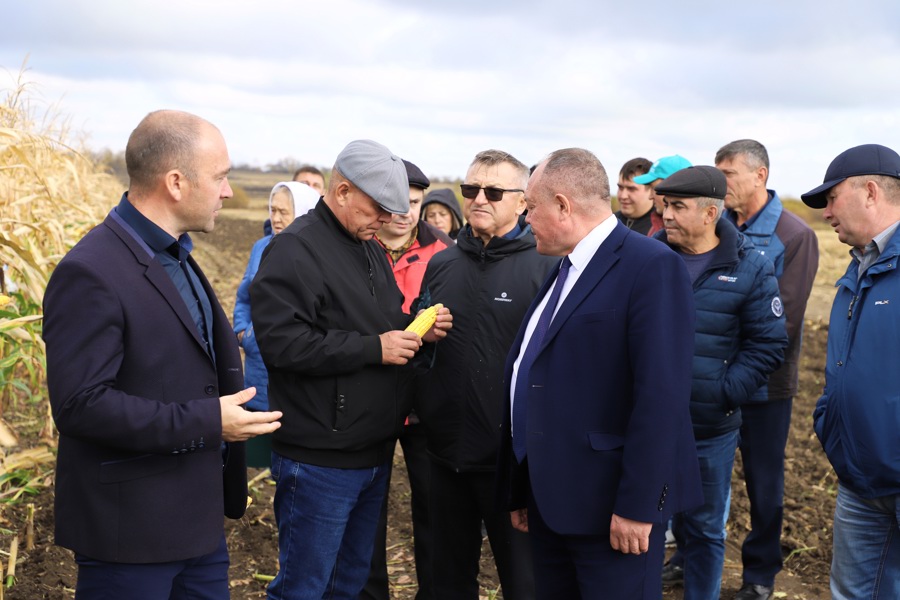 Сегодня в Яльчикском муниципальном округе состоялся научно-производственный семинар на тему: «Технологии возделывания кукурузы. Развитие отечественной селекции кукурузы в условиях импортозамещения».