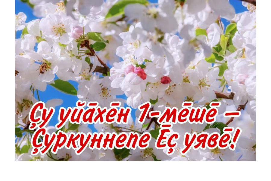 Поздравление главы муниципального округа Ивана Михопарова с Праздником Весны и Труда