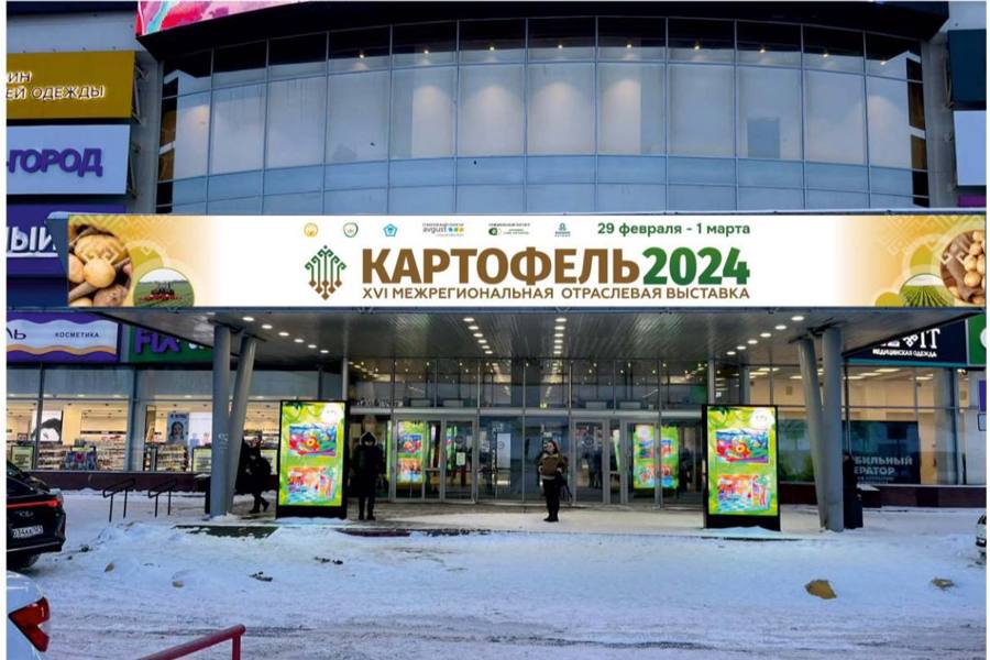 Выставка «Картофель-2024» пройдёт в МТВ-центре Чебоксар