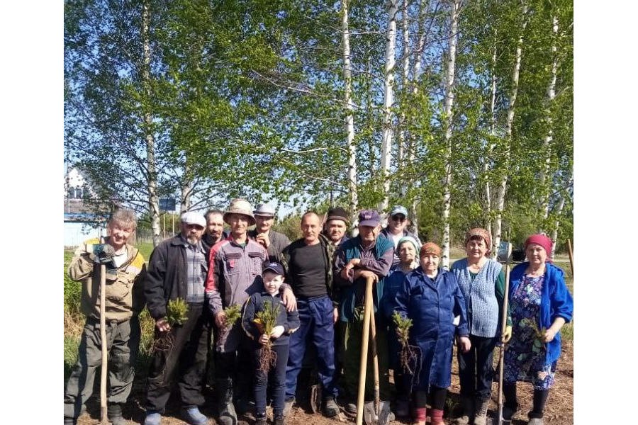 Сельский староста славится делами