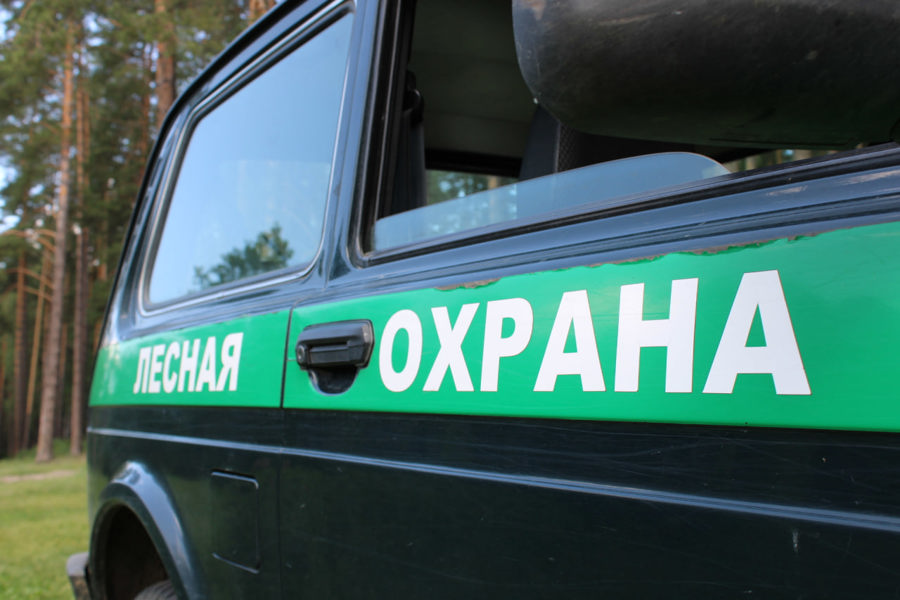 Профилактические рейды в Чувашии продолжаются