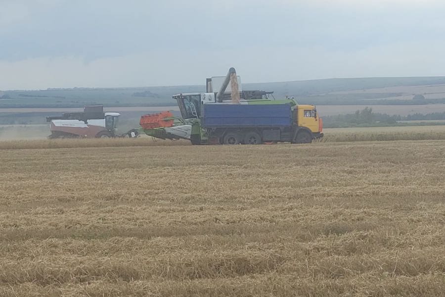 В округе стартовала уборочная страда