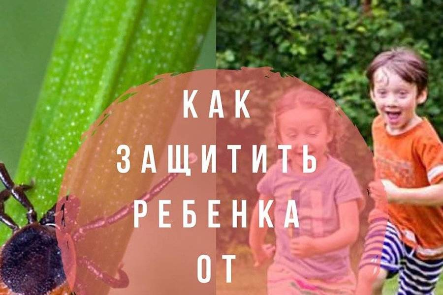 О рекомендациях, как защитить детей от клещей