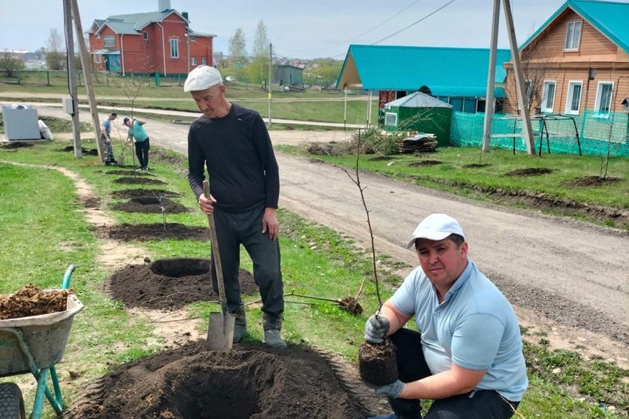 Всероссийская акция «Сад памяти»