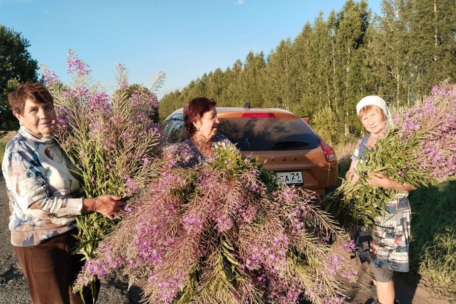 «Серебряные» волонтёры продолжают помогать участникам специальной операции