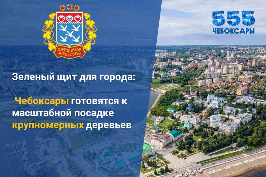 Посадка деревьев вдоль городских магистралей запланирована уже на этой неделе