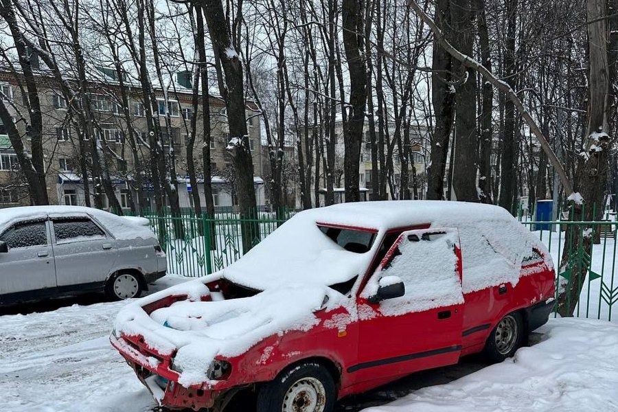 В Чебоксарах устанавливается собственник автомобиля, брошенного возле парка А.Г.Николаева