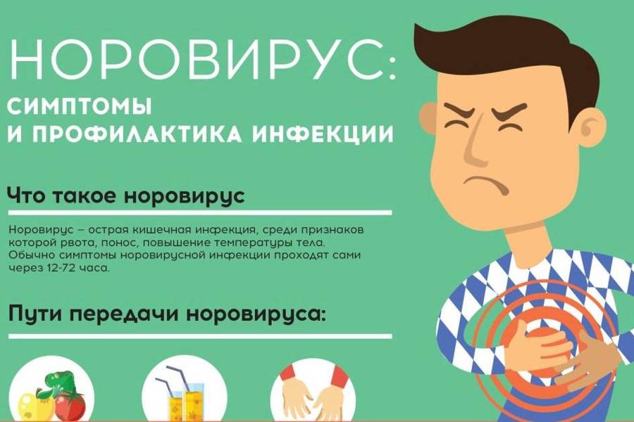 Кишечные инфекции. Астро-рота-норовирусы