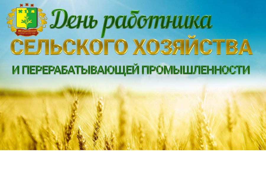 Поздравление главы Шемуршинского муниципального округа А.В. Чамеева с Днем работника сельского хозяйства и перерабатывающей промышленности