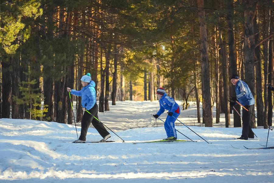 Активный зимний отдых: список действующих катков и лыжных трасс Янтиковского округа