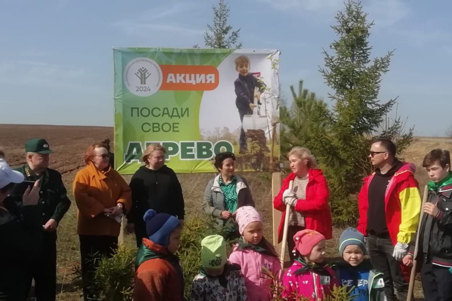 В Моргаушском округе прошла весенняя акция «Посади свое дерево»