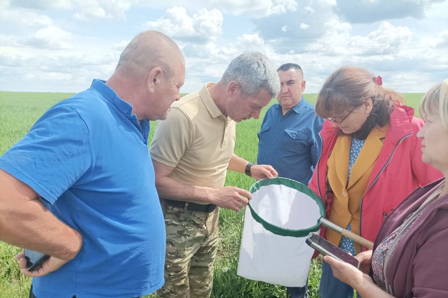 В Урмарском муниципальном округе состоялся объезд полей