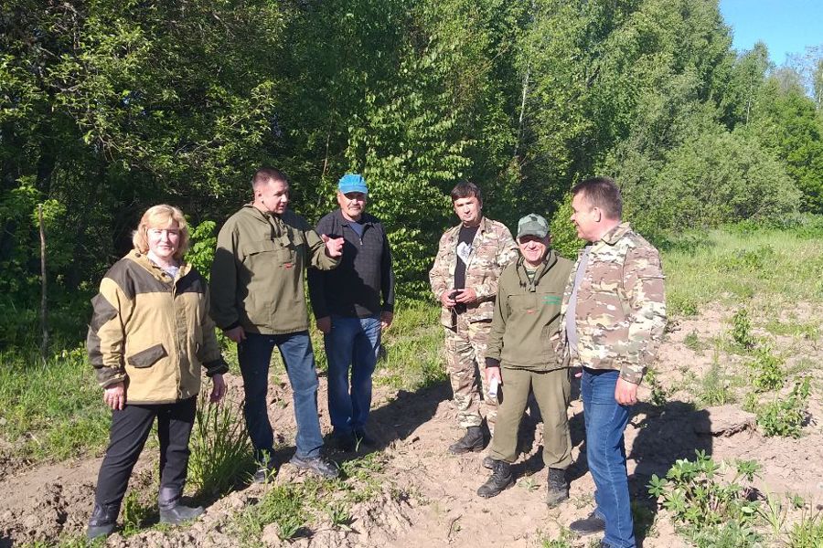 Техприемка лесных культур в Чувашии (18.06.2024 г.)