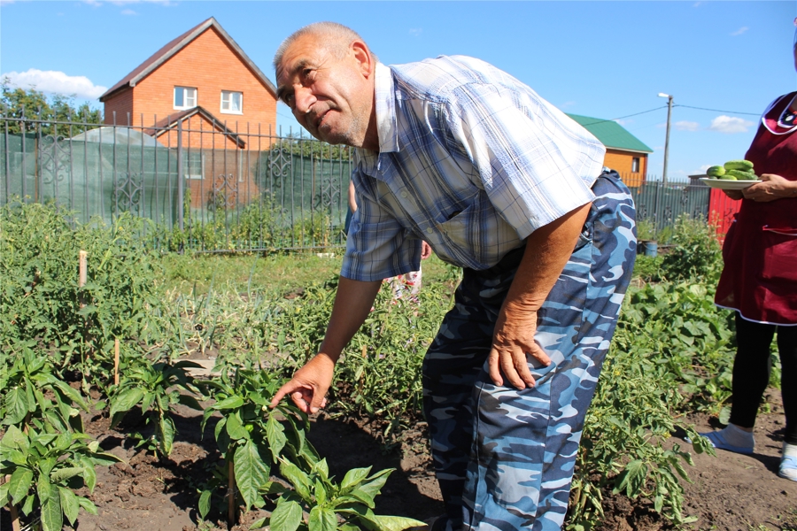 Для пожилых граждан садоводство и огородничество - важный фактор, мотивирующий к активному долголетию