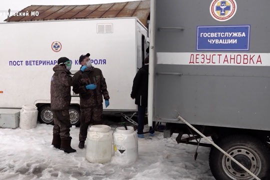 В Госветслужбе Чувашии рассказали, как искали зараженное мясо