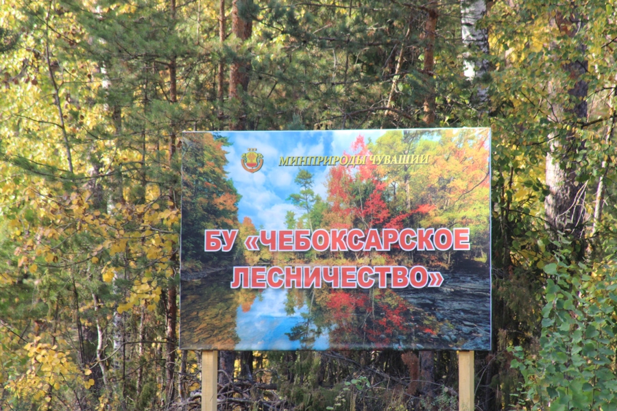 Берегите лес от пожара (04.10.2023 г.)