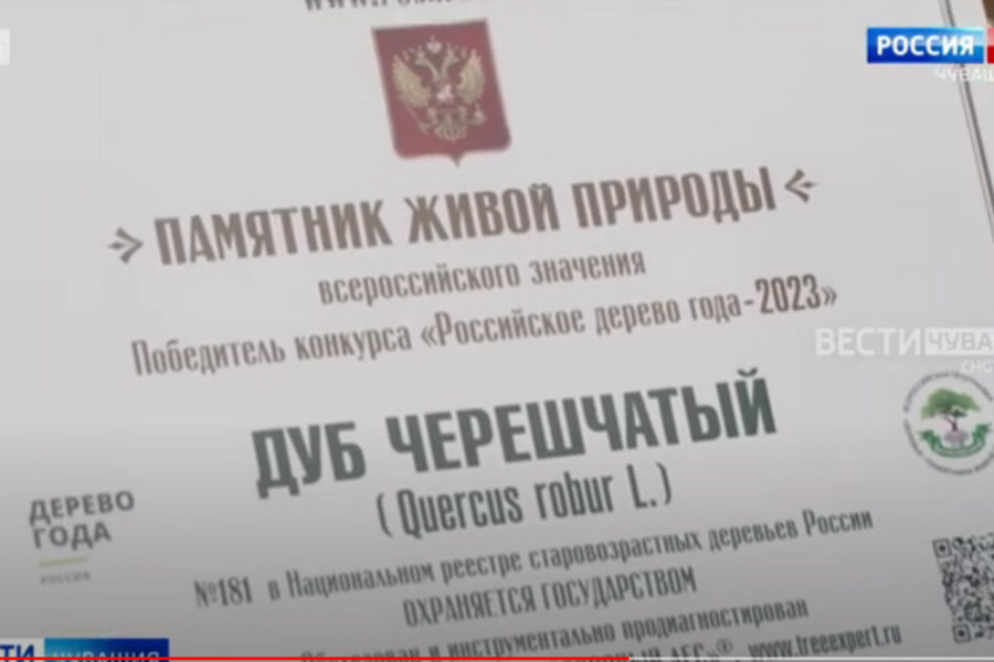 Чувашии вручат диплом за победу во Всероссийском конкурсе «Российское дерево года – 2023» // ГТРК «Чувашия».  2023.11.29.