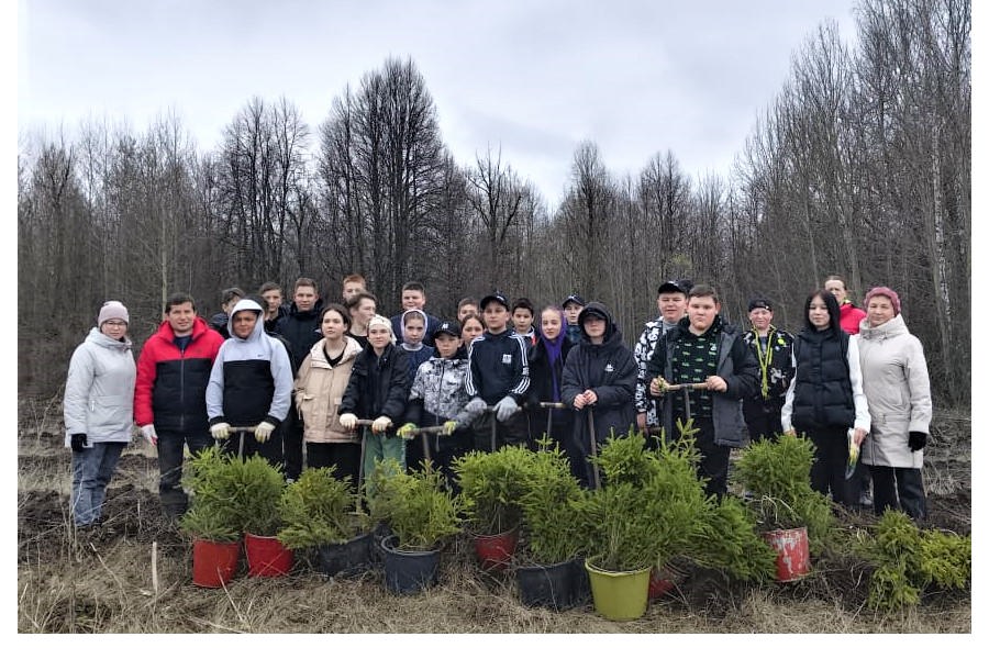 Цивильский округ вновь стал активным участником Всероссийской экологической акции по посадке деревьев