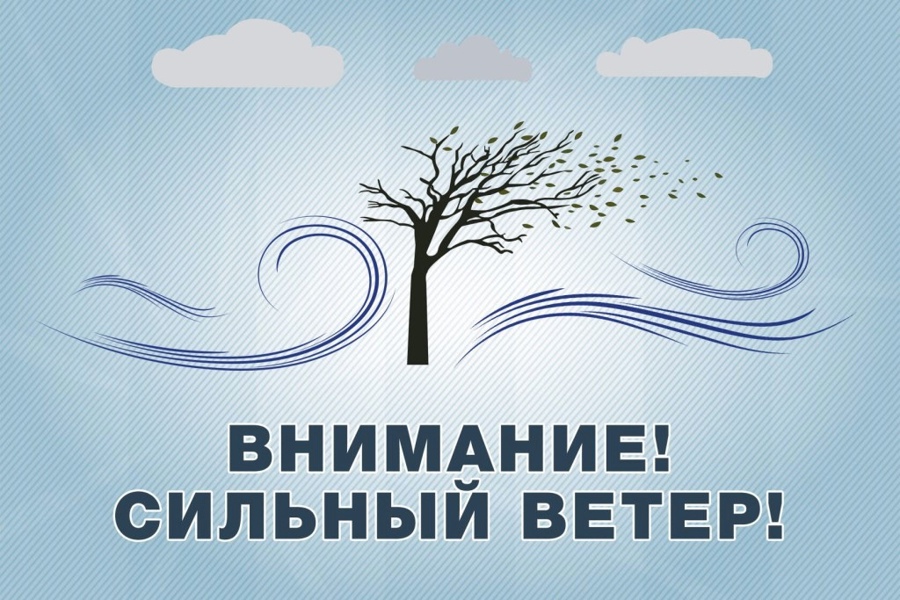 Внимание! Ночью 14 октября 2023 года в большинстве районов Чувашской Республики ожидается юго-западный ветер порывами до 13‒18 м/с