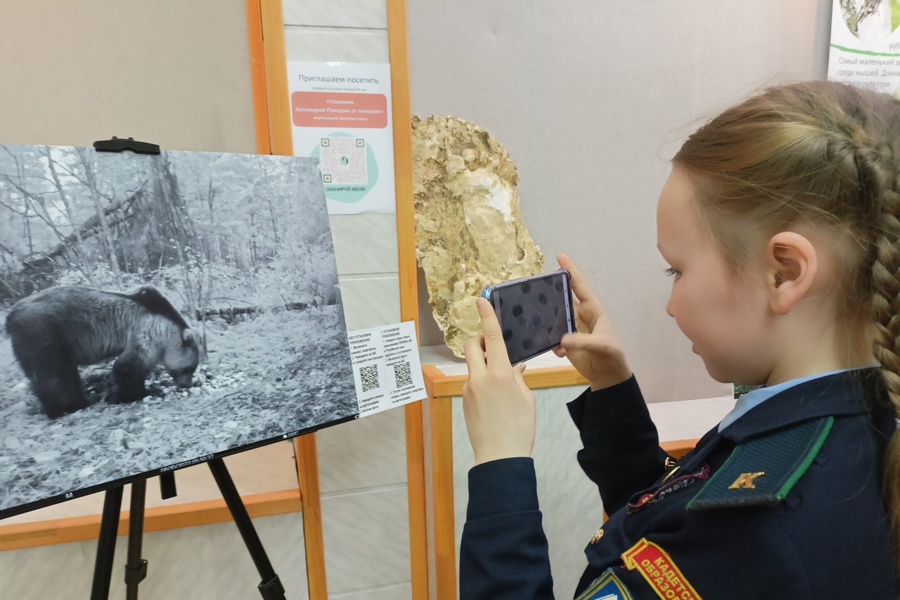 В Чувашии можно ознакомиться с экспозициями уникальной фотовыставки «Сохраним Заповедное Присурье от пожаров»