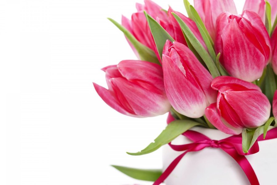 Новочебоксарское городское Собрание депутатов Чувашской Республики от всей души поздравляет дорогих и милых женщин с прекрасным праздником весны – Днем 8 марта!
