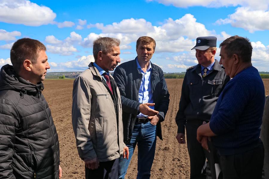 Весенние полевые работы в Чебоксарском муниципальном округе идут согласно плану