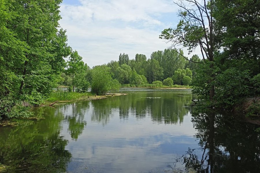 Ленинский район г.Чебоксары: в озере Ботанического сада купаться запрещено!