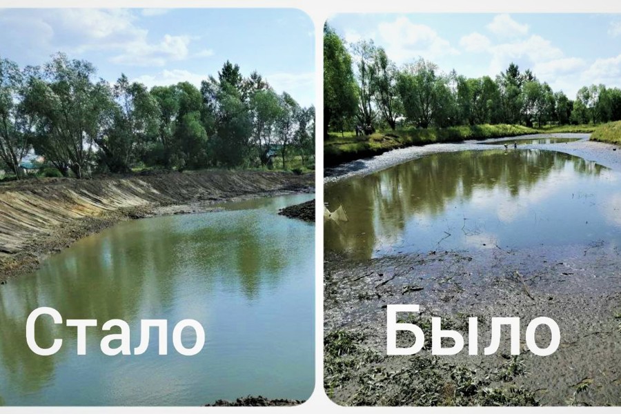 В д. Туруново выполнены работы по очистке пруда