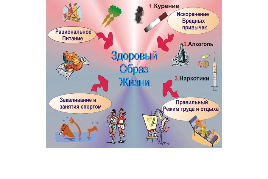 Информация о здоровом образе жизни