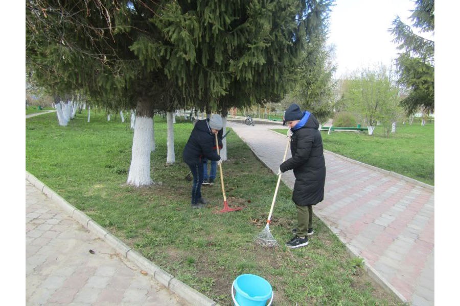 В Порецком округе объявлен санитарно-экологический месячник