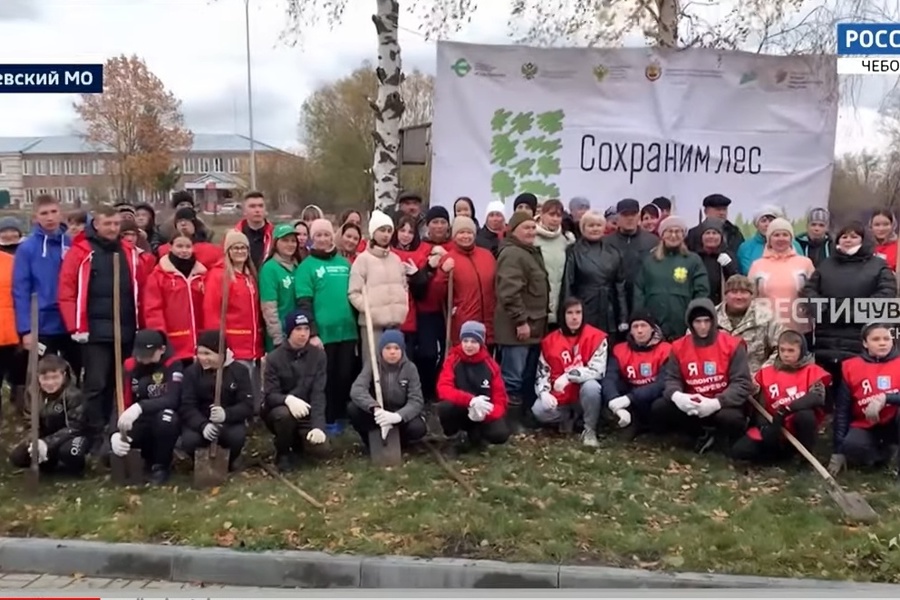 В Батыревском округе высадили 5,5 тысяч деревьев // ГТРК «Чувашия. 2023.10.20.