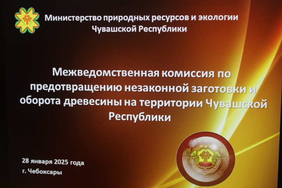 Межведомственная комиссия по предотвращению незаконной заготовки и оборота древесины (28.01.25)