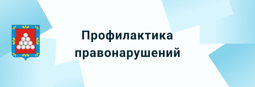 Профилактика правонарушений