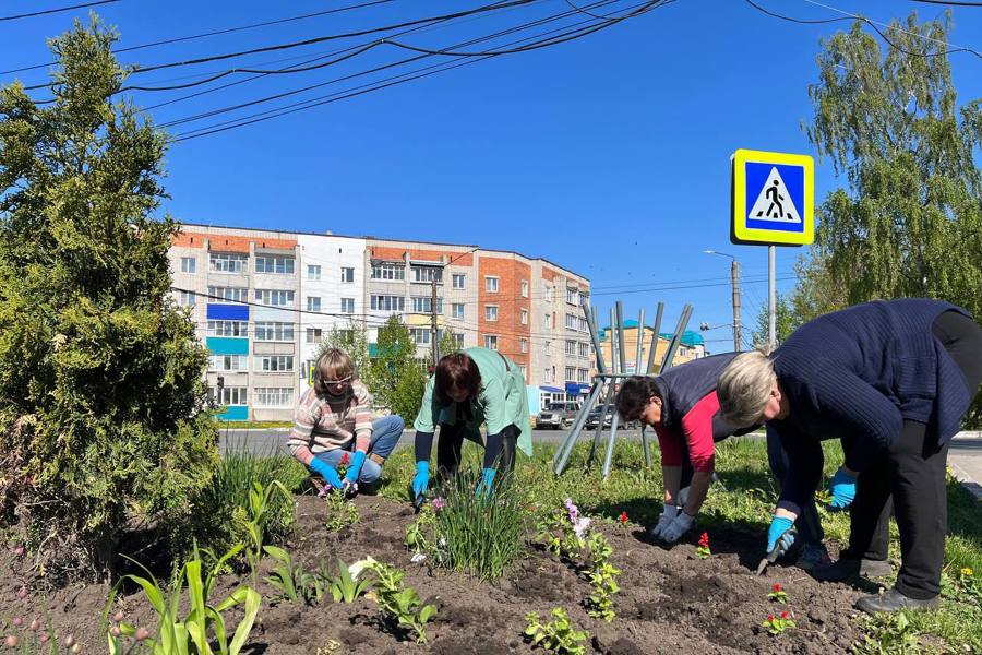 Цветочные клумбы украсили улицы и скверы нашего города