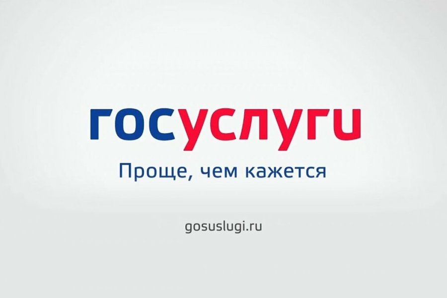 Быстро, удобно и просто: напоминаем о преимуществах платформы «Госуслуги»