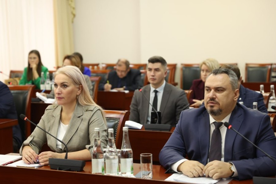 Надежда Колебанова на заседании Кабинета Министров представила проект постановления