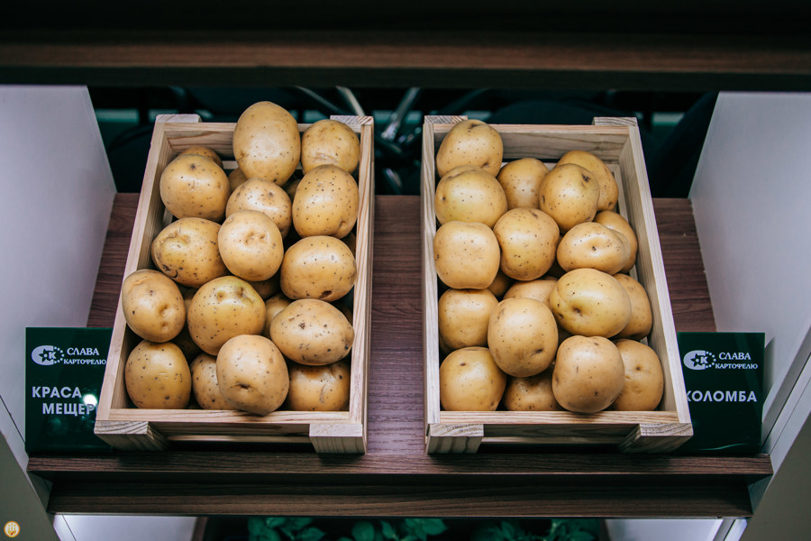 Семенного картофеля будет ещё больше на ярмарках в Чувашии 19-21 апреля