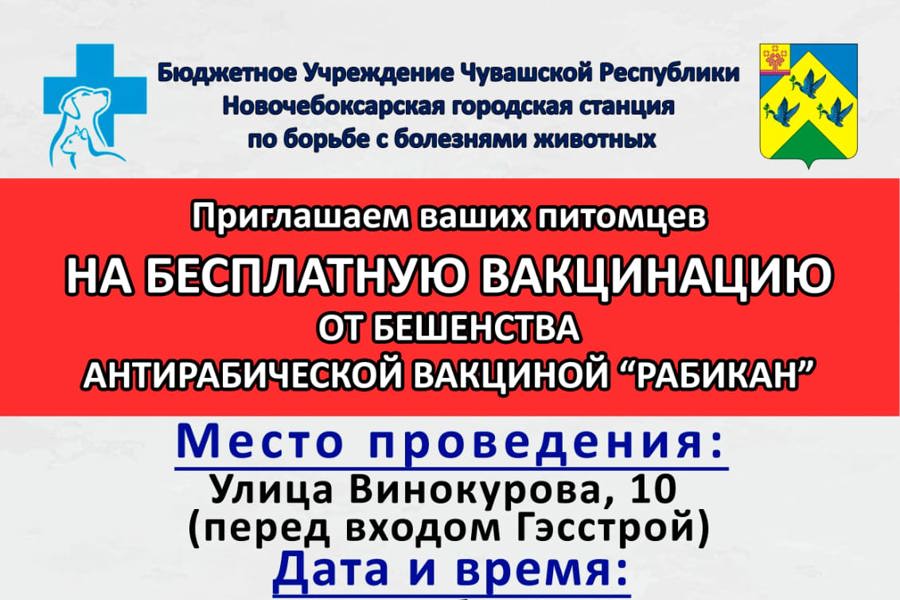 В Новочебоксарске бесплатно привьют животных от бешенства