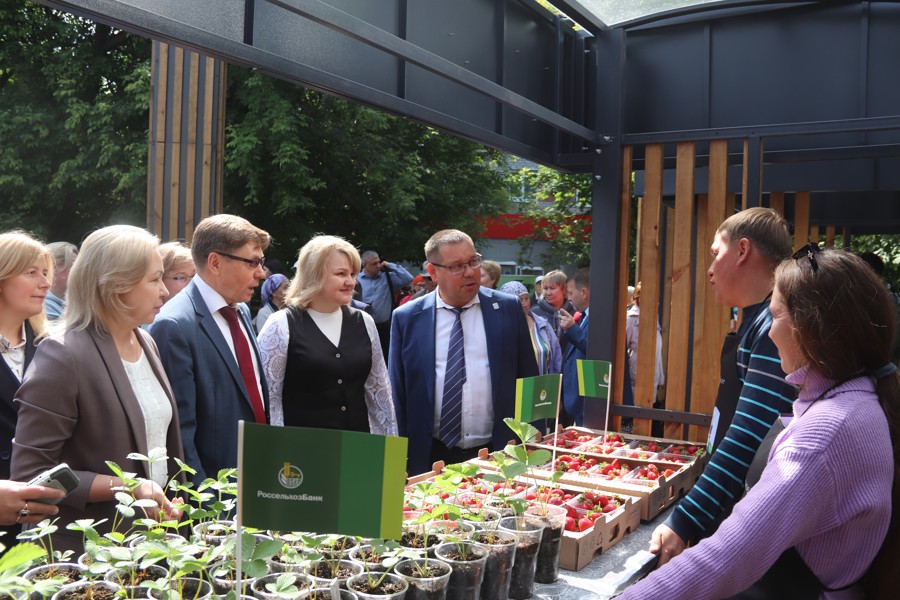 День Республики: в Новочебоксарске  открылись фермерские торговые ряды