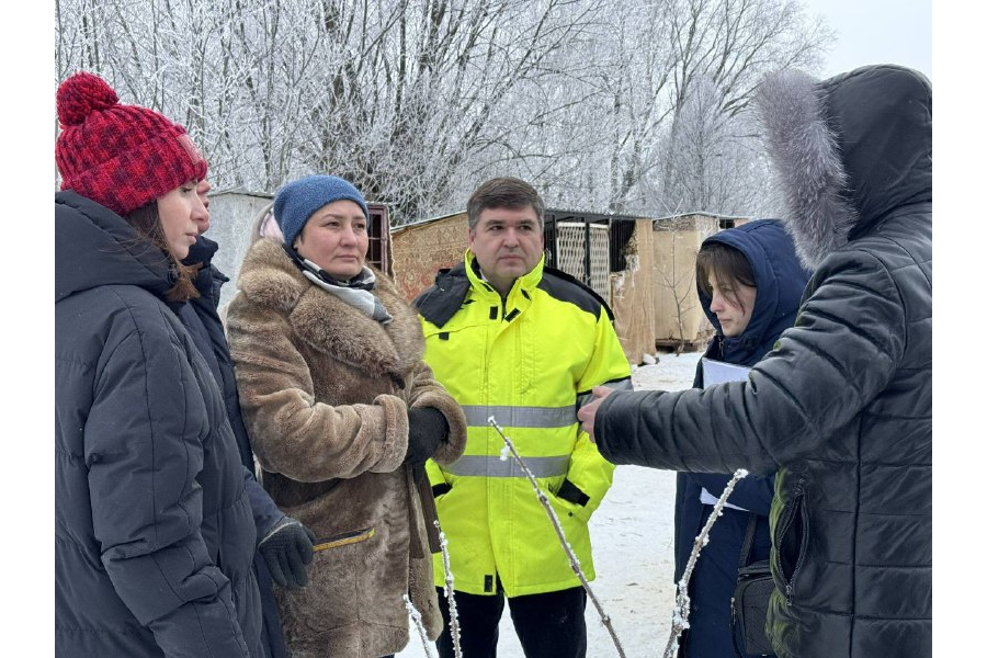 Максим Гребенкин принял участие в прокурорской проверке ЧРОО Помощи бездомным животным «Островок души»