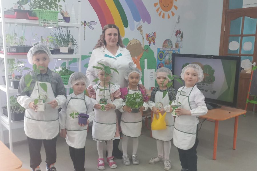 В детском саду «Березка» открылась агролаборатория