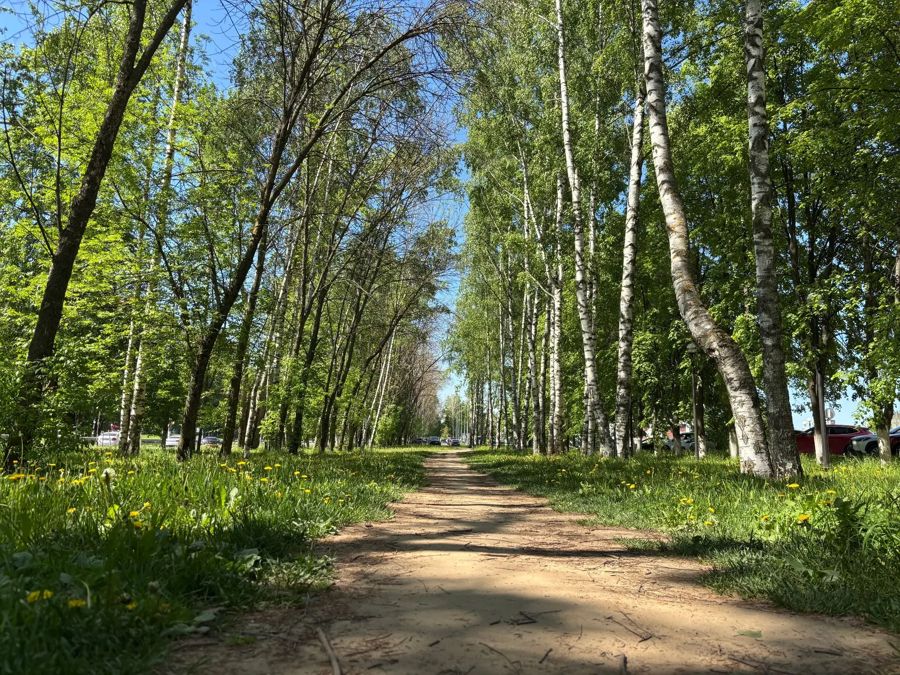 В парках, скверах и местах отдыха у воды в Чебоксарах проводится акарицидная обработка