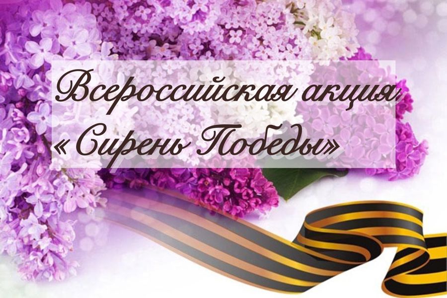 Сирень Победы — символ вечной памяти