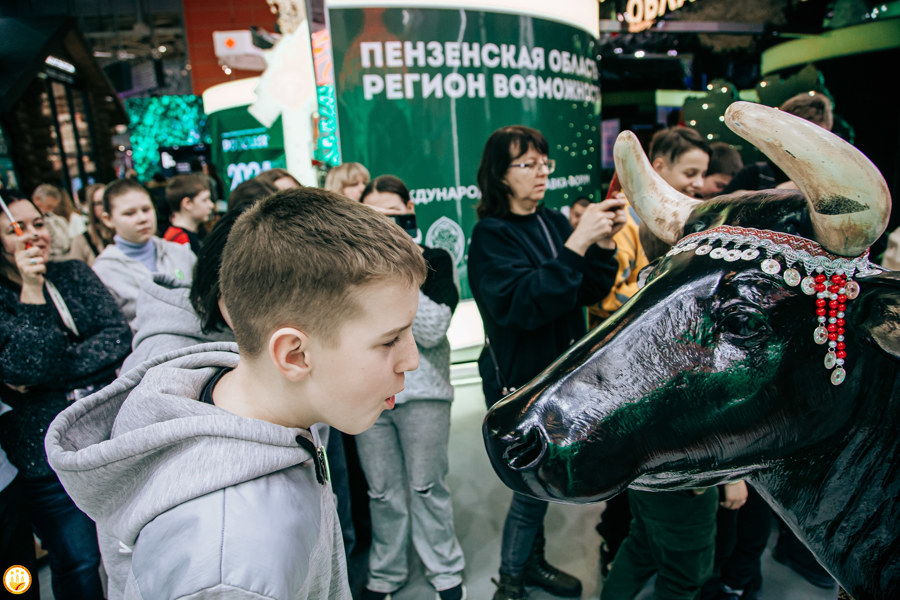 Выставка-форум «Россия»: Тысячу раз подоили чувашскую корову посетители экспозиции #ЧувашияМолочная